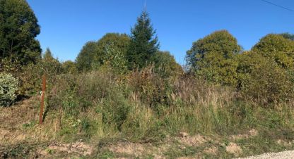 Купить земельный участок в г. Михайловское. Фотография №2 Купить земельный участок в г. Михайловское. Фотография №2