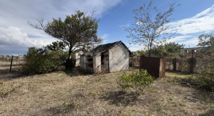 Купить земельный участок в г. Снт химик-1. Фотография №3