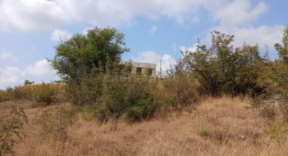 Купить земельный участок на улице Шоссе генерала моргунова г. Севастополь. Фотография №4 Купить земельный участок на улице Шоссе генерала моргунова г. Севастополь. Фотография №4