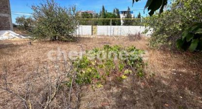 Купить земельный участок в г. Севастополь. Фотография №3 Купить земельный участок в г. Севастополь. Фотография №3