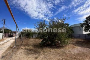 Продам земельный участок, на улице Территория ст полюшко-2, Нахимовский район, г. Севастополь, Крым авт. респ., Россия, агентство Херсонес Недвижимость