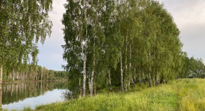 Купить земельный участок в г. Пелево. Фотография №2 Купить земельный участок в г. Пелево. Фотография №2