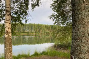 Продам земельный участок, на улице Пелево с, г. Пелево, Татарстан респ., Россия, агентство Интернет-партнер Продам земельный участок, на улице Пелево с, г. Пелево, Татарстан респ., Россия, агентство Интернет-партнер