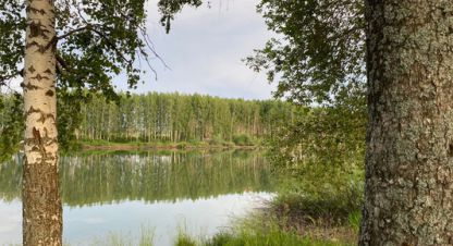 Купить земельный участок. Фотография №1 Продам земельный участок, на улице Пелево с, г. Пелево, Татарстан респ., Россия, агентство Интернет-партнер. Фотография №1