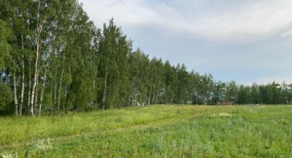 Купить земельный участок в г. Пелево. Фотография №3 Купить земельный участок в г. Пелево. Фотография №3