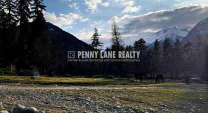 Купить земельный участок г. П нижний архыз. Фотография №4