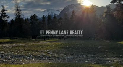 Купить земельный участок в г. П нижний архыз. Фотография №3