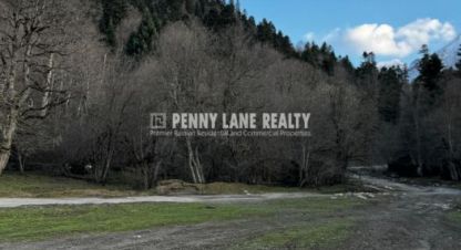 Купить земельный участок г. П нижний архыз. Фотография №5