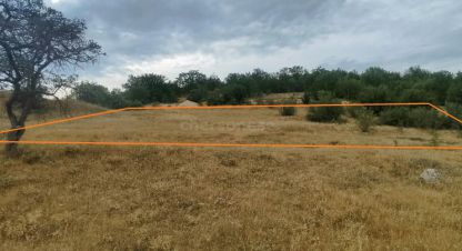 Продам земельный участок, на улице Локомотивная, Верхнесадовский муниципальный окр район, г. Верхнесадовое, Крым авт. респ., Россия, агентство Херсонес Недвижимость. Фотография №1