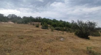 Продаётся земельный участок в г. Верхнесадовое. Фотография №7