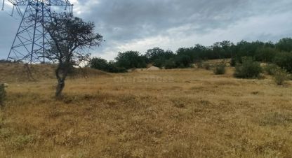 Купить земельный участок в г. Верхнесадовое. Фотография №2