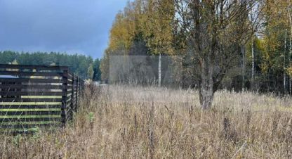 Купить земельный участок, Россия, г. Поречье (д веледниково). Фотография №8
