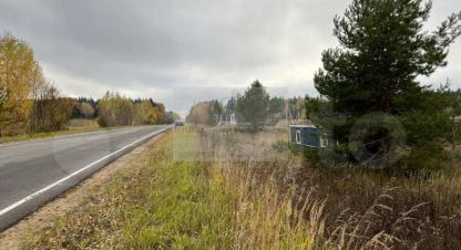 Купить земельный участок в г. Поречье (д веледниково). Фотография №3