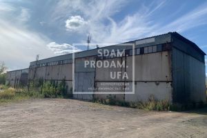 Сдам производственно-складское помещение с общей площадью 216м2, на улице Трактовая, г. Вавилово, Башкортостан респ., Россия, агентство СдамПродам