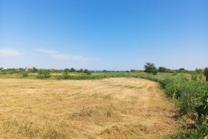 Продам земельный участок, на улице Нагорная, г. Лопатки, Воронежская обл., Россия, агентство JCat Продам земельный участок, на улице Нагорная, г. Лопатки, Воронежская обл., Россия, агентство JCat