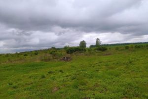 Продам земельный участок, г. Лопатки, Воронежская обл., Россия, агентство JCat Продам земельный участок, г. Лопатки, Воронежская обл., Россия, агентство JCat