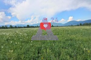 Продам земельный участок, г. Усть-кокса, Алтай респ., Россия, агентство АН Династия 24