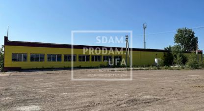 Снять производственно-складское помещение в г. Вавилово. Фотография №3