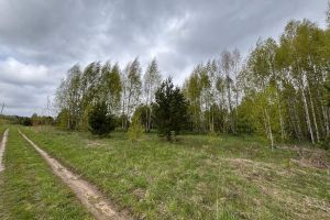 Продам земельный участок, Россия, агентство Служба недвижимости СЛАВНА