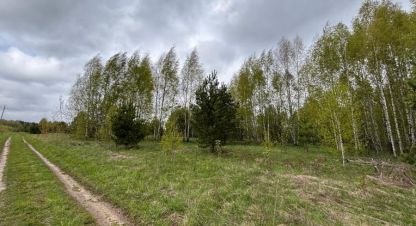 Продам земельный участок, Россия, агентство Служба недвижимости СЛАВНА. Фотография №1