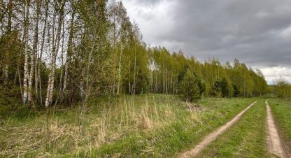 Купить земельный участок. Фотография №3