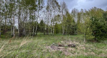 Купить земельный участок. Фотография №2