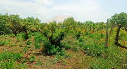 Купить земельный участок в г. Крымское. Фотография №3 Купить земельный участок в г. Крымское. Фотография №3