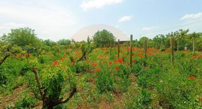 Купить земельный участок. Фотография №1 Продам земельный участок, на улице Северная, г. Крымское, Крым авт. респ., Россия, агентство СитиДом. Фотография №1