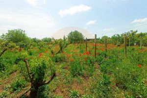 Продам земельный участок, на улице Северная, г. Крымское, Крым авт. респ., Россия, агентство СитиДом