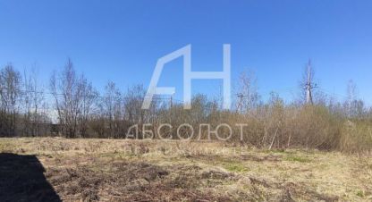 Купить земельный участок в г. Краснозаводск. Фотография №3