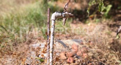 Купить земельный участок на улице Гоголя г. Черноморский. Фотография №5 Купить земельный участок на улице Гоголя г. Черноморский. Фотография №5