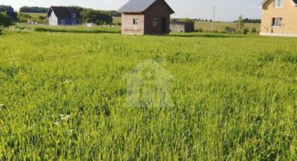 Купить земельный участок г. Рабочий посёлок борисоглебский. Фотография №5