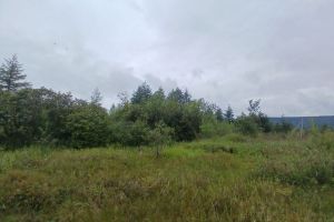 Продам земельный участок, г. Магадан, Магаданская обл., Россия, агентство Агентство недвижимости СДЕЛКА Продам земельный участок, г. Магадан, Магаданская обл., Россия, агентство Агентство недвижимости СДЕЛКА