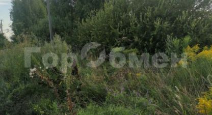 Купить земельный участок в г. Большие озерки. Фотография №3 Купить земельный участок в г. Большие озерки. Фотография №3