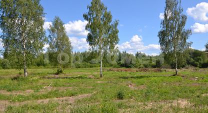 Продаётся земельный участок в г. Осташков. Фотография №6 Продаётся земельный участок в г. Осташков. Фотография №6