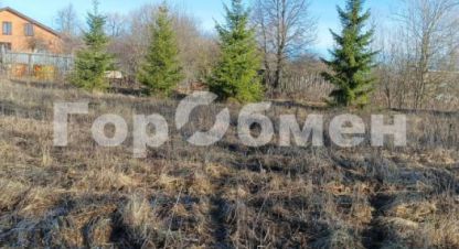 Купить земельный участок в г. Ясенки. Фотография №2