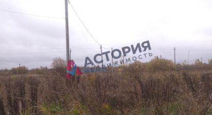 Купить земельный участок на улице Озерная г. Красный яр. Фотография №5 Купить земельный участок на улице Озерная г. Красный яр. Фотография №5