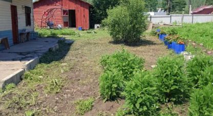 Продаётся 4-х комнатная дом в г. Турочак. Фотография №6