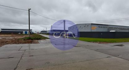 Снять производственно-складское помещение в г. Щёлково. Фотография №2 Снять производственно-складское помещение в г. Щёлково. Фотография №2