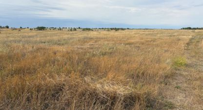 Купить земельный участок на улице Южная г. Ерзовка рп. Фотография №4