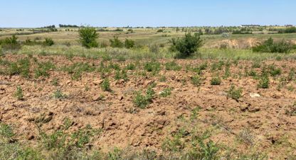 Купить земельный участок на улице Окружная г. Царицын. Фотография №4