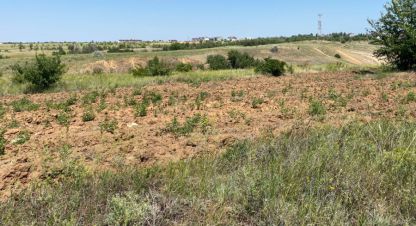 Продаётся земельный участок в г. Царицын. Фотография №6