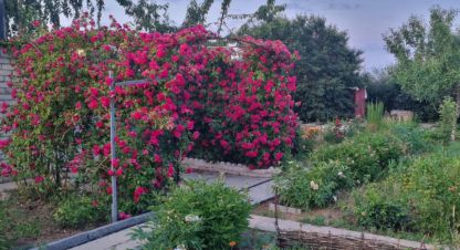 Купить коттедж/дачу 3-х комнатную, 45 кв. м., Россия, г. Не выбрано. Фотография №8