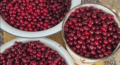 Купить 3-х комнатную коттедж/дачу на улице 13-я г. Не выбрано. Фотография №4