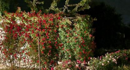 Купить коттедж/дачу 3-х комнатную, 45 кв. м., Россия, г. Не выбрано. Фотография №9