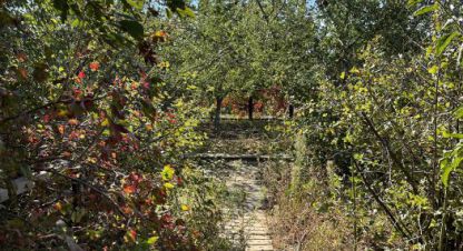 Купить коттедж/дачу 3-х комнатную, 45 кв. м., Россия, г. Не выбрано. Фотография №10