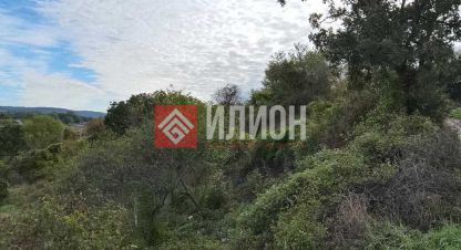 Купить земельный участок в г. Верхнесадовое. Фотография №2