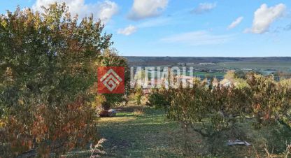 Купить земельный участок в г. Айвовое. Фотография №2