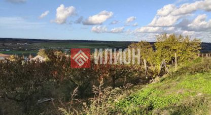 Продаётся земельный участок в г. Айвовое. Фотография №6