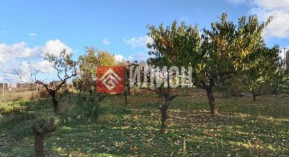 Купить земельный участок в г. Айвовое. Фотография №3